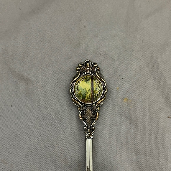 Set of 3 Cameo Silver Plated Souvenir Collector Spoons - Picture 4 of 12